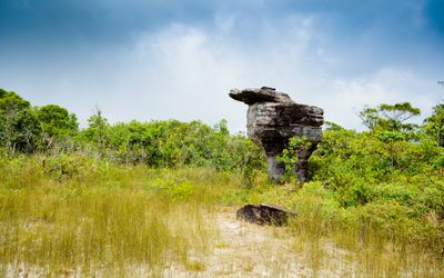 Bokor